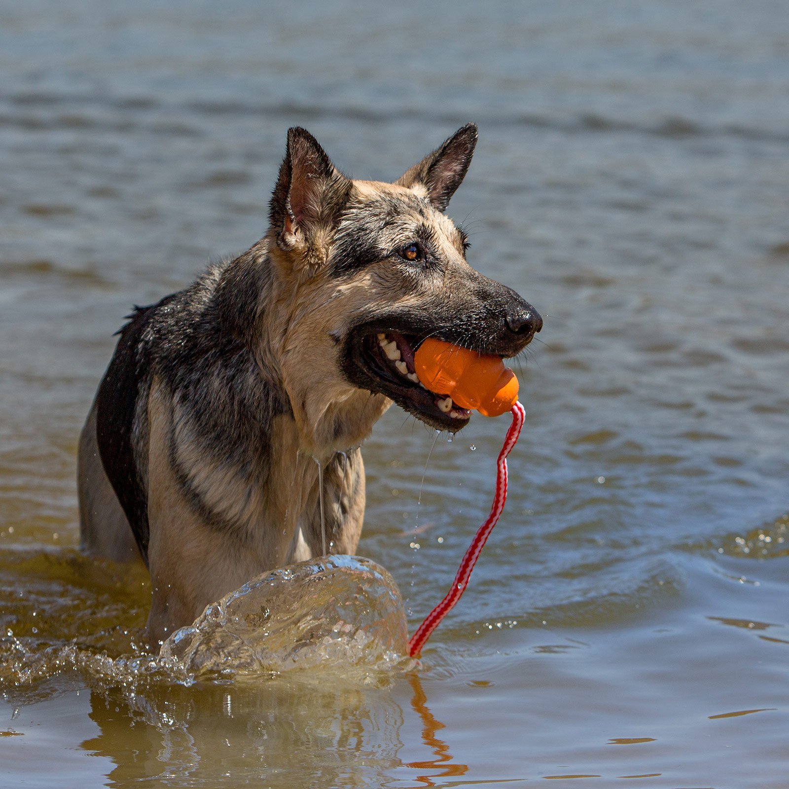 Medium Rope Water Float Toy For Dogs - Image 2
