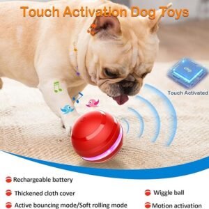 Interactive Dog Toy Ball