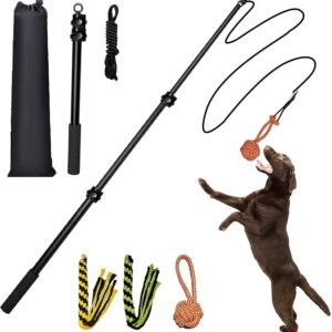 Heavy-Duty 40-Inch Extendable Flirt Pole for Dogs