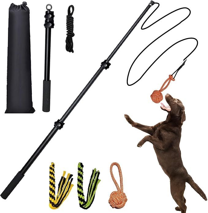Heavy-Duty 40-Inch Extendable Flirt Pole for Dogs